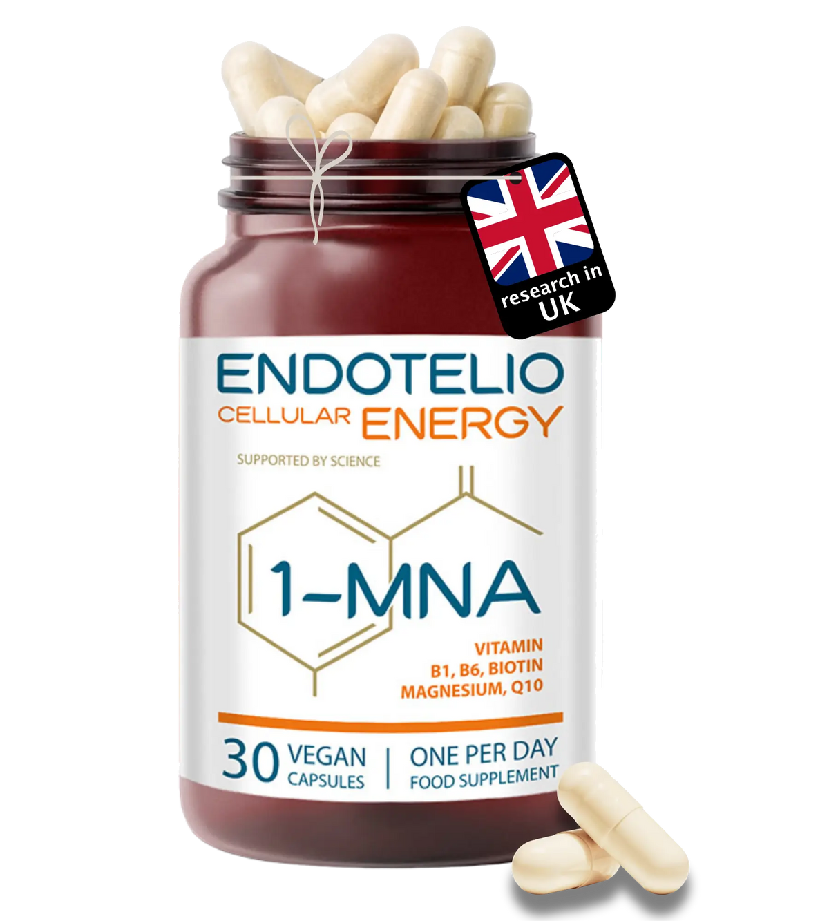 Endotelio, Energy