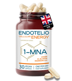 Endotelio, Energy